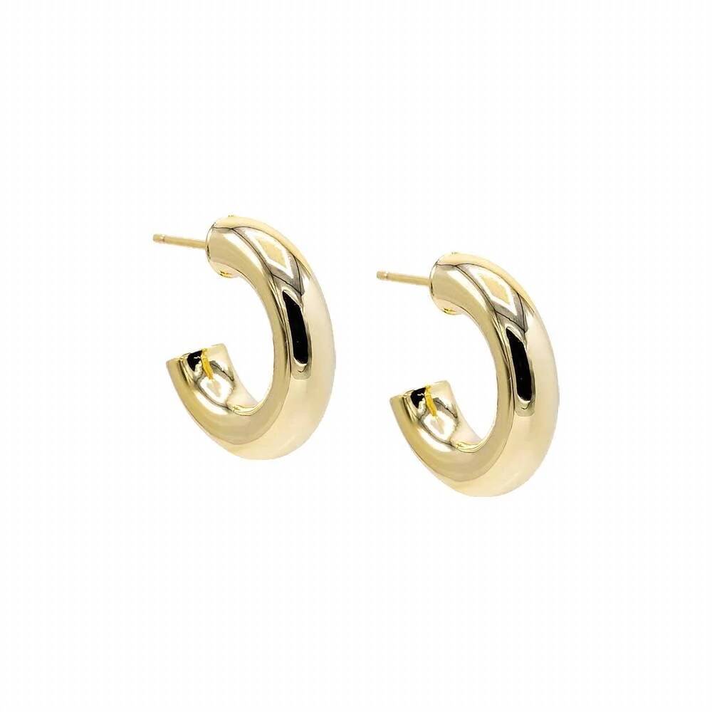 NEW BEBE women's chunky hoops earrings in gold